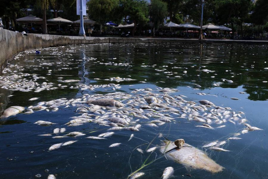 Βόλος: Εντός των επιτρεπόμενων ορίων οι τιμές των κολοβακτηρίδιων-εντερόκοκκων στις ακτές του Δήμου