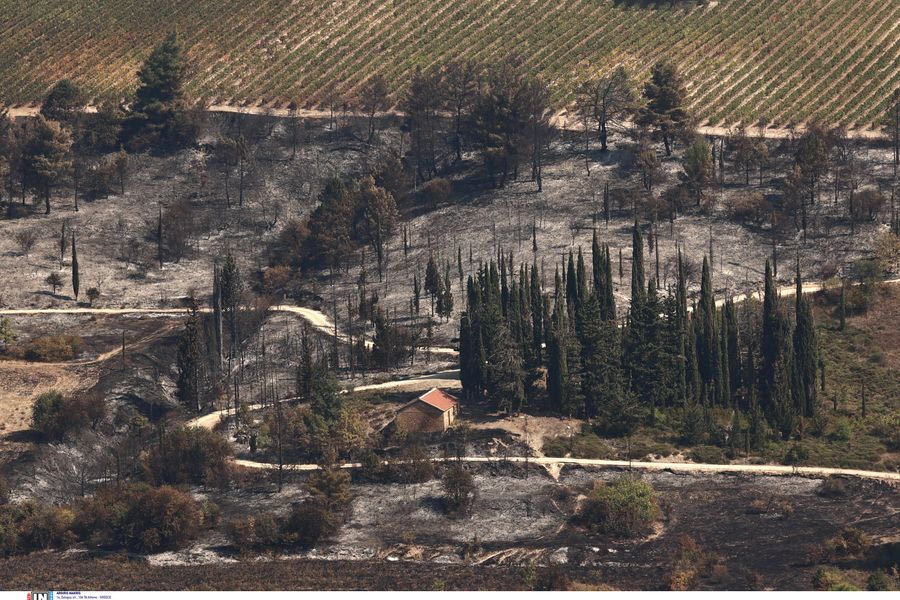 Ξυλόκαστρο: Ο αντιδήμαρχος κάπνιζε τα μελίσσια του την ώρα της φωτιάς – πρόστιμο 3.000 ευρώ