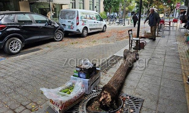 Χανιά: Φορτηγό έριξε δέντρο στο κέντρο της πόλης