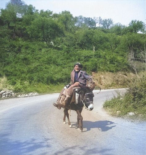 Άνδρας πάνω σε γαϊδούρι 1960