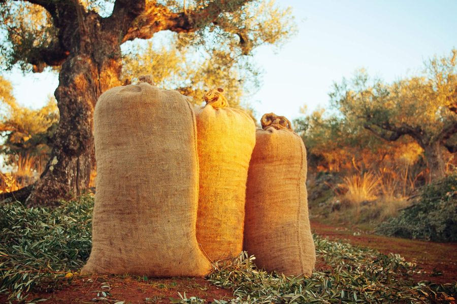 Νέες επενδύσεις από την κρητική εταιρεία Creta Drop