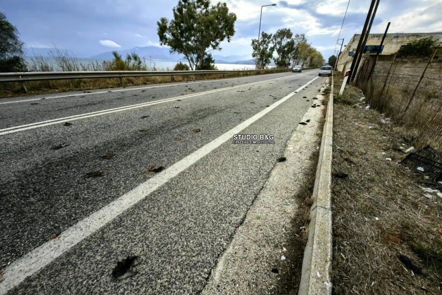 Θλιβερό θέαμα στο Ναύπλιο: Εκατοντάδες νεκρά πουλιά στην παραλιακή