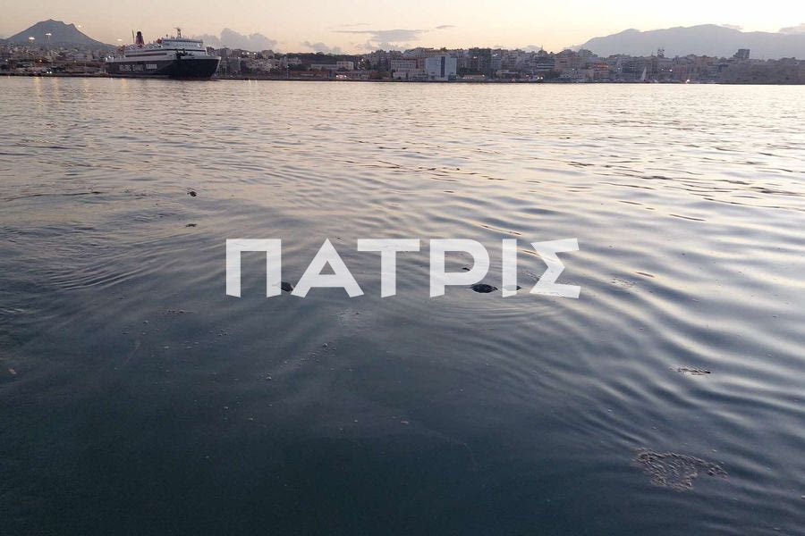 Γέμισε νεκρά ποντίκια το Λιμάνι του Ηρακλείου – φωτογραφίες