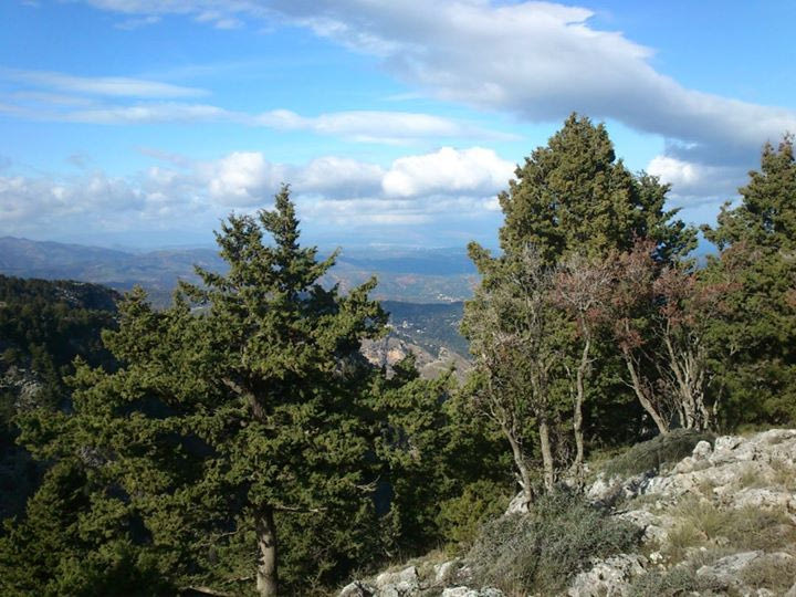 Χανιά: Έχασαν τον προσανατολισμό τους στο φαράγγι και στήθηκε επιχείρηση διάσωσης