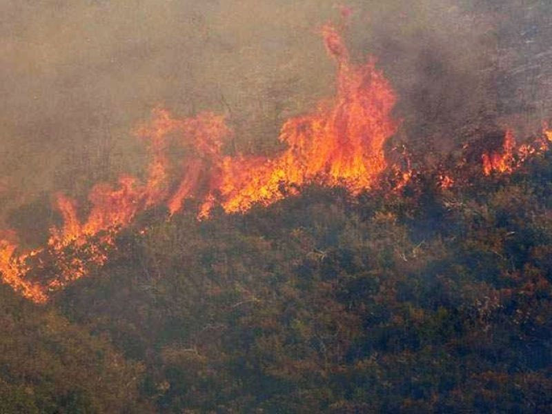 Ηράκλειο: Συνελήφθη ηλικιωμένος για εμπρησμό – κάηκαν 10 στρέμματα δασικής έκτασης