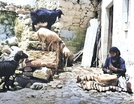 Η Φωτογραφία της Ημέρας