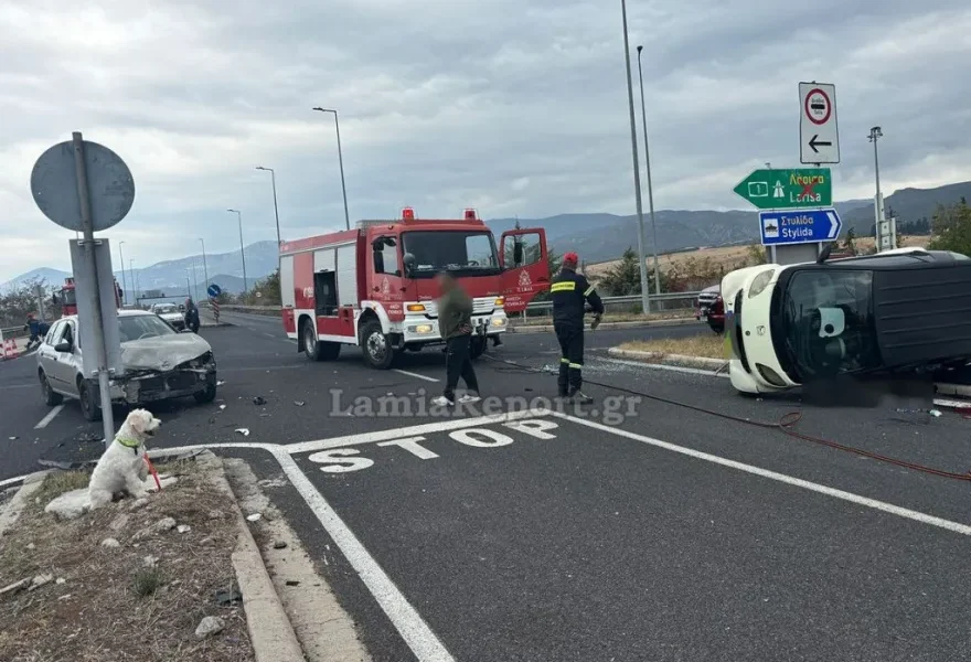 Λαμία: Νεκρός 54χρονος σε τροχαίο – Το σκυλάκι του διασώθηκε και περίμενε τον ιδιοκτήτη του δίπλα στο τρακάρισμα