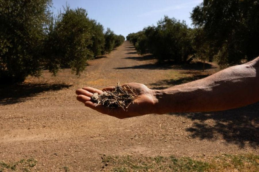 Κλιματική κρίση και ασθένειες «ανιχνεύονται» μαζί στα λύματα