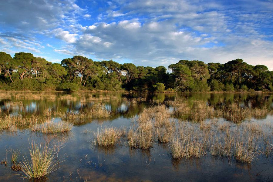 Περιοχές Natura 2000: H αξιοποίησή τους μπορεί να συνεισφέρει 2 δισ. ευρώ τον χρόνο