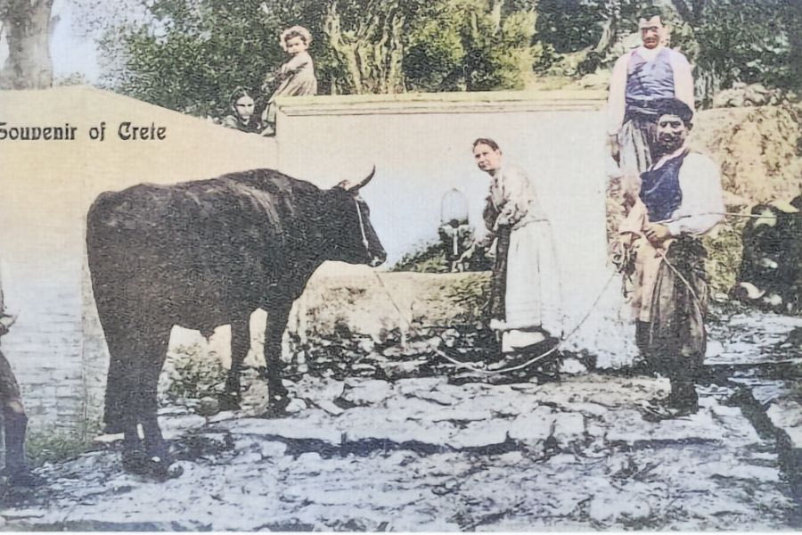 Η καθημερινότητα στην κρητική ύπαιθρο παλιά…