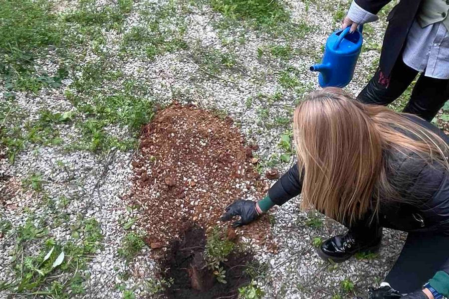 Διοργάνωσαν δράση δενδροφύτευσης με σκοπό την περιβαλλοντική ευαισθητοποίηση και την εκπαίδευση των παιδιών