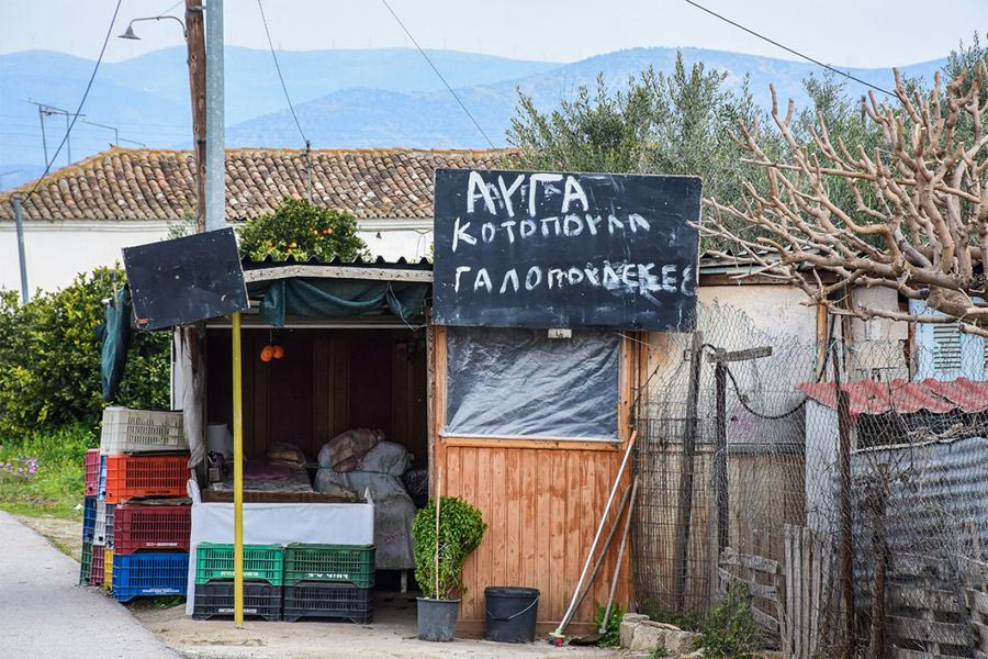 Ναύπλιο: Ελεύθερη η 72χρονη που κατηγορείται για τον θάνατο 50χρονου ληστή