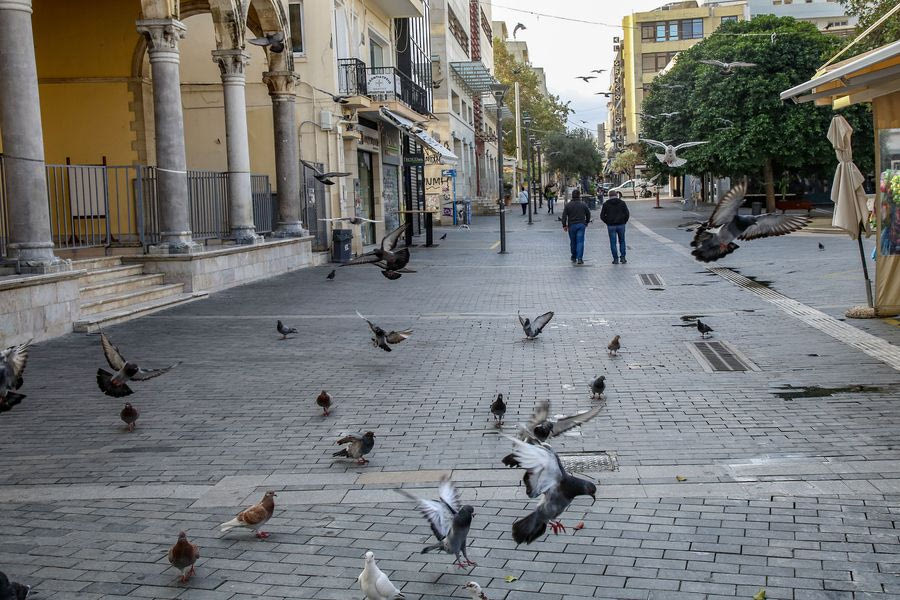 Πνευμονολόγοι: Σοβαρός κίνδυνος δημόσιας υγείας τα περιστέρια