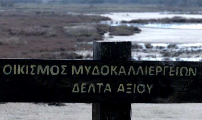 Θεσσαλονίκη: Ολική καταστροφή των μυδοκαλλιεργειών λόγω κλιματικής κρίσης