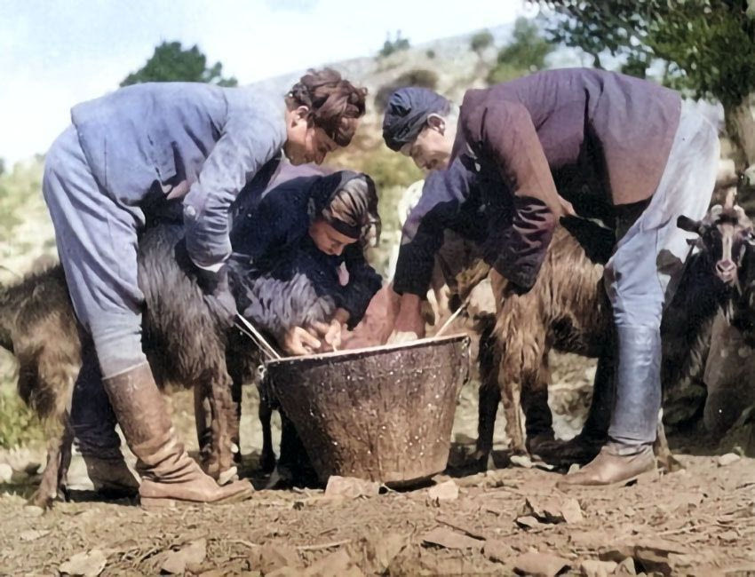 Παραδοσιακό άρμεγμα τη δεκαετία του ’40