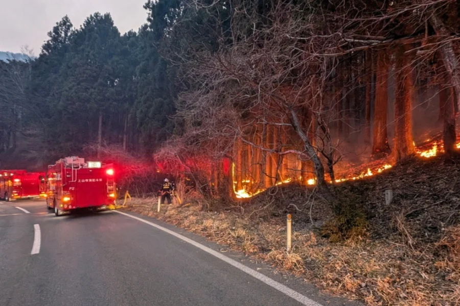 Ιαπωνία: Η χειρότερη δασική πυρκαγιά των τελευταίων 50 ετών τέθηκε υπό έλεγχο